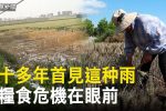 香港希望之聲 香港希望之聲