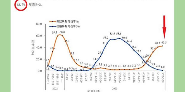 2023年6月12日,中共疾控中心公布5月22日至29日的流感樣病例中共病毒(新冠病毒)陽性率達42.5%。(網站截圖/希望之聲合成)