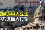 香港希望之聲