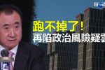香港希望之聲