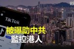 香港希望之聲 香港希望之聲