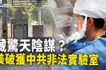 香港希望之聲