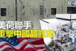 香港希望之聲