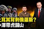 香港希望之聲