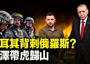 【新聞熱點】土耳其背刺俄羅斯？澤連斯基帶猛虎歸山；中共管控鎵鍺出口 北歐大國拆陣    主播：黃曉翔