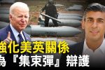 香港希望之聲 香港希望之聲