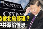 香港希望之聲 香港希望之聲