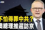 香港希望之聲 香港希望之聲