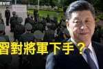 香港希望之聲 香港希望之聲