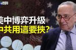 香港希望之聲