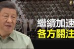 香港希望之聲