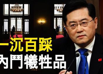 【新聞熱點】秦剛失踪再曝新消息！駐美大使說漏嘴；克宮：不與西方斷交 美司令發警告：北京侵台將必敗  主播：林茵 鍾嘉慧 