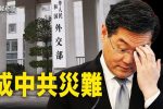 香港希望之聲 香港希望之聲