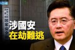 香港希望之聲
