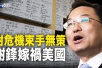 香港希望之聲