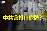 香港希望之聲