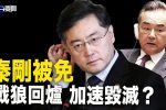 香港希望之聲
