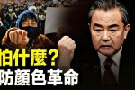 香港希望之聲