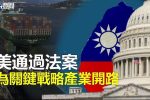 香港希望之聲