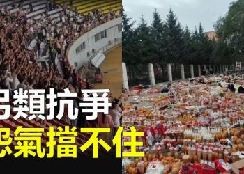【新聞熱點】中國爆另類抗爭 各地點外賣悼念11師生；澤連斯基簽署法案 改變聖誕節日期  主播: 婉兒 
