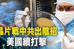 香港希望之聲