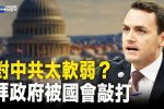 香港希望之聲