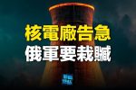 香港希望之聲