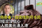 香港希望之聲