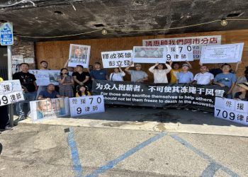 美國紐西蘭集會抗議中共暴政 聲援709律師 海外華人覺醒（視頻）