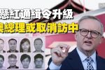 香港希望之聲