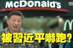 香港希望之聲 香港希望之聲