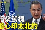 香港希望之聲