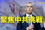 香港希望之聲