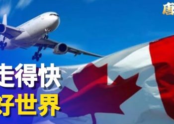【唐人街】加拿大引進人才政策，利用救生艇計劃撤離香港；大陸又要來搞運動了