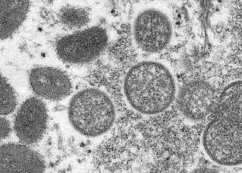 中國多地出現猴痘病毒患者 96%為青壯年男性