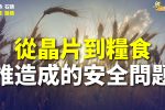香港希望之聲