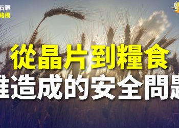 【粵講粵有理】從晶片到糧食   誰造成的安全問題