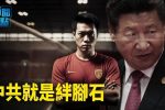 香港希望之聲