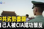 香港希望之聲 香港希望之聲