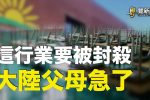 香港希望之聲 香港希望之聲