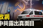 香港希望之聲