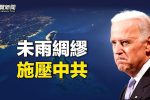香港希望之聲 香港希望之聲
