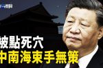 香港希望之聲