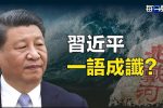 香港希望之聲 香港希望之聲