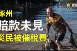 香港希望之聲 香港希望之聲
