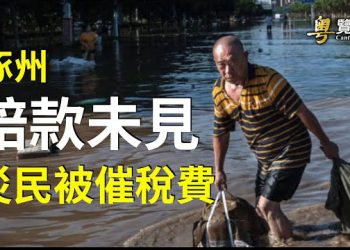 【粵覽新聞】涿州水災後 慘況更加不忍睹 主播：黃曉翔 紫君   