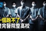香港希望之聲