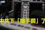 香港希望之聲