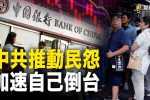 香港希望之聲