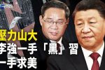香港希望之聲